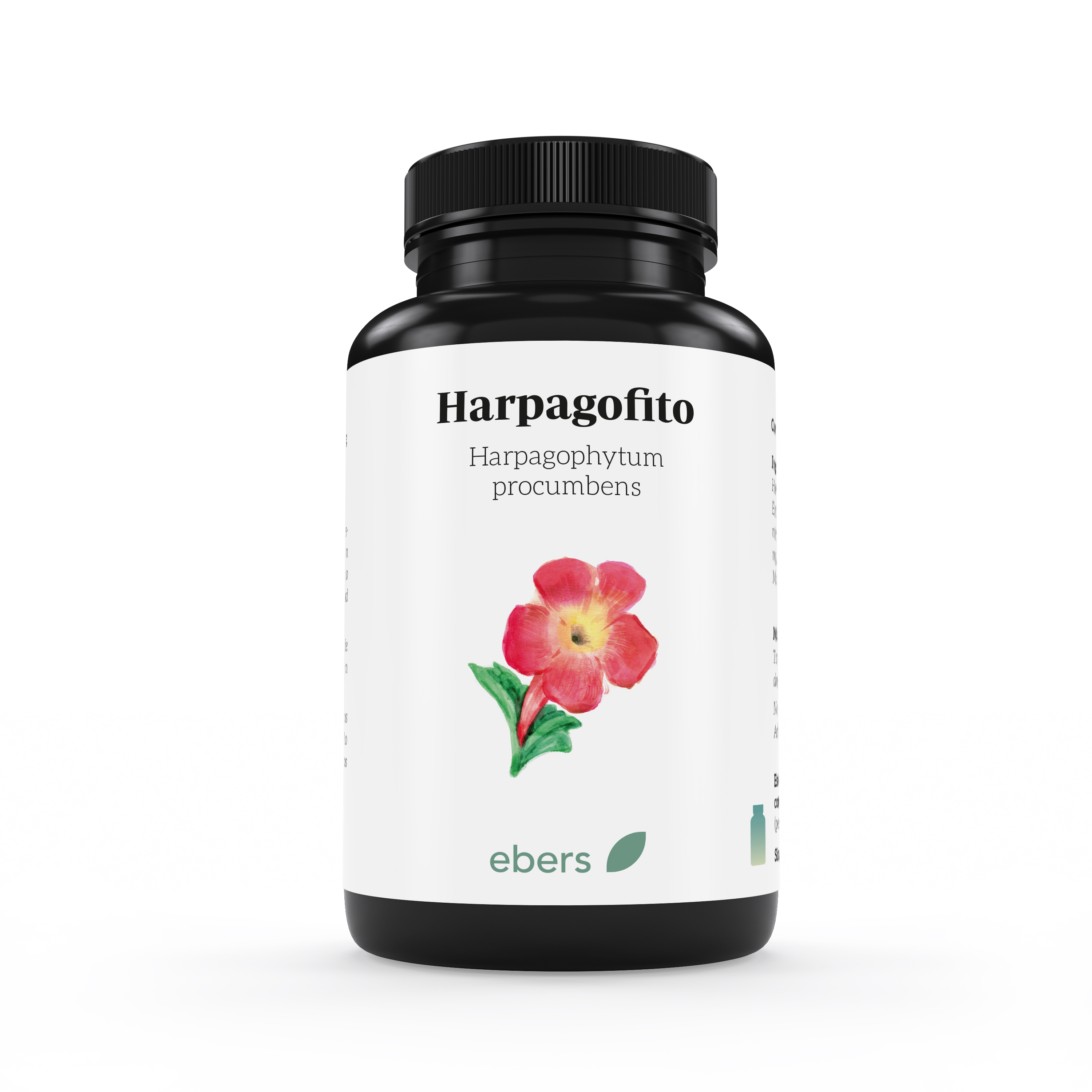 HARPAGOFITO 500MG EBERS - 60 COMP aloe
