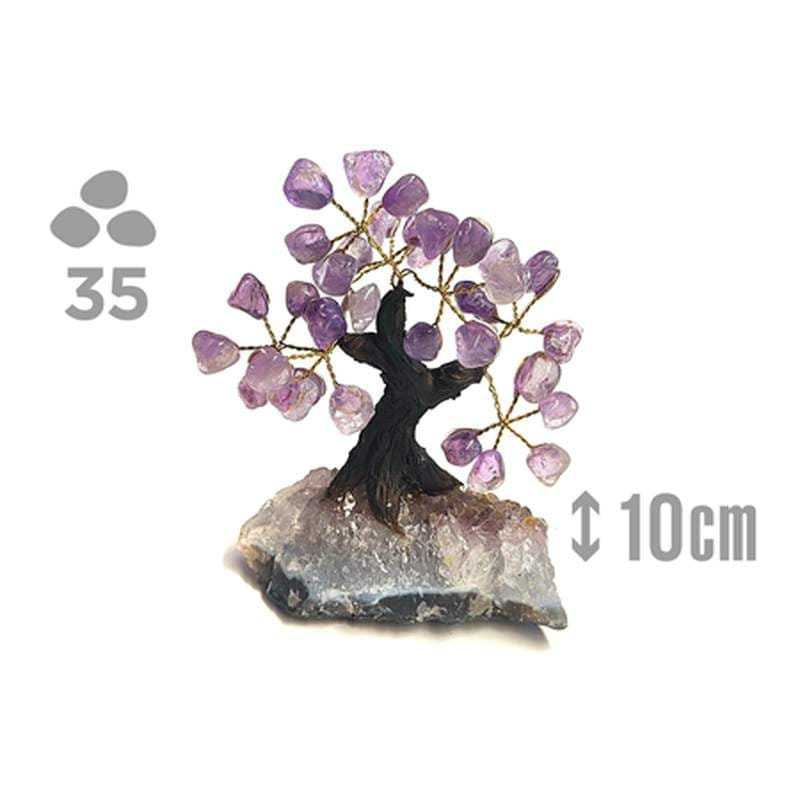 ARBOL AMATISTA 10CM 35 PIEDRAS aloe